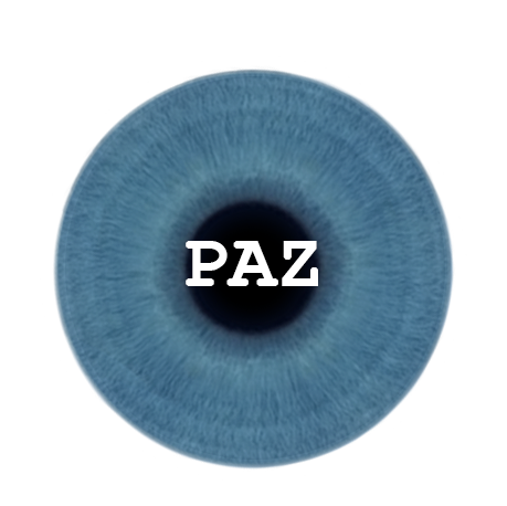 Encurtador de links PAZ